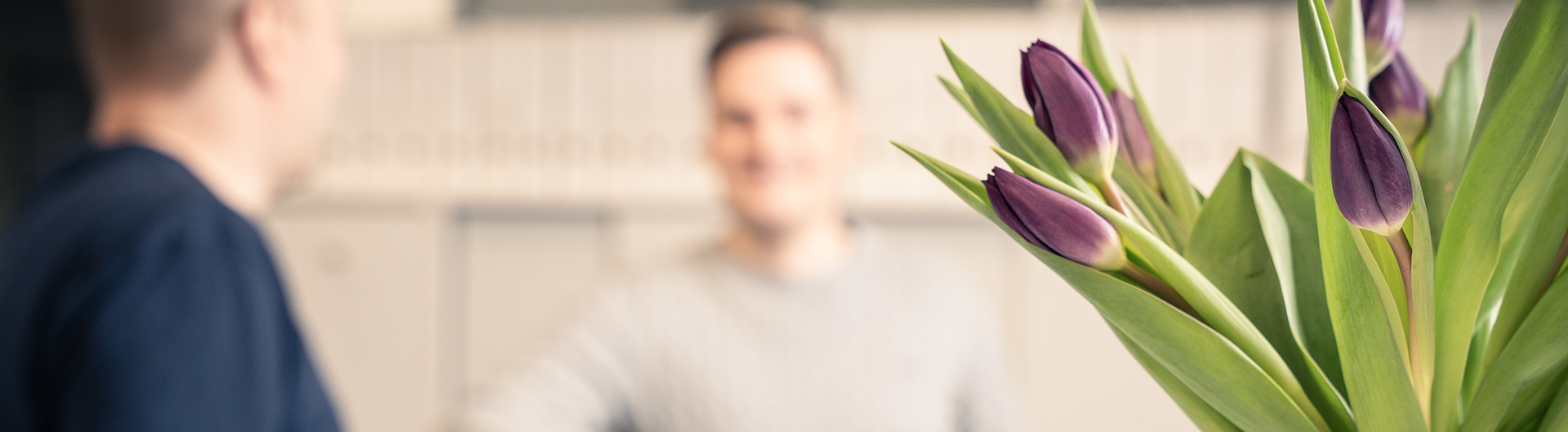 Violetin värisiä tulppaaneja, taustalla kaksi henkilöä